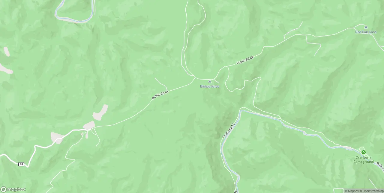 Internet in Camden On Gauley