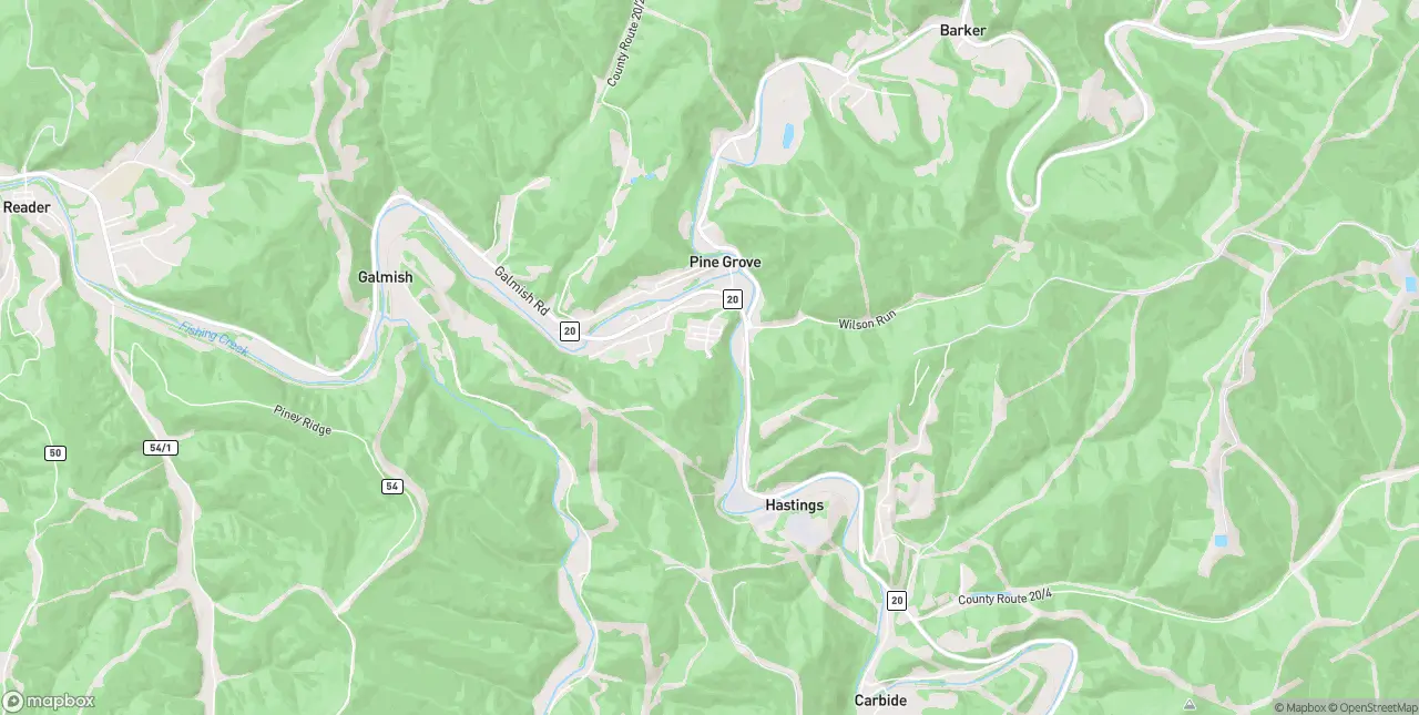 Internet in Pine Grove