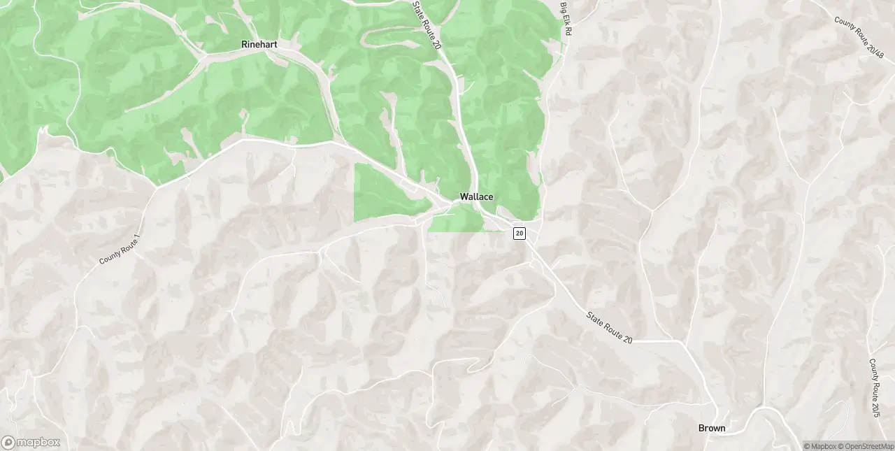 Internet in Wallace