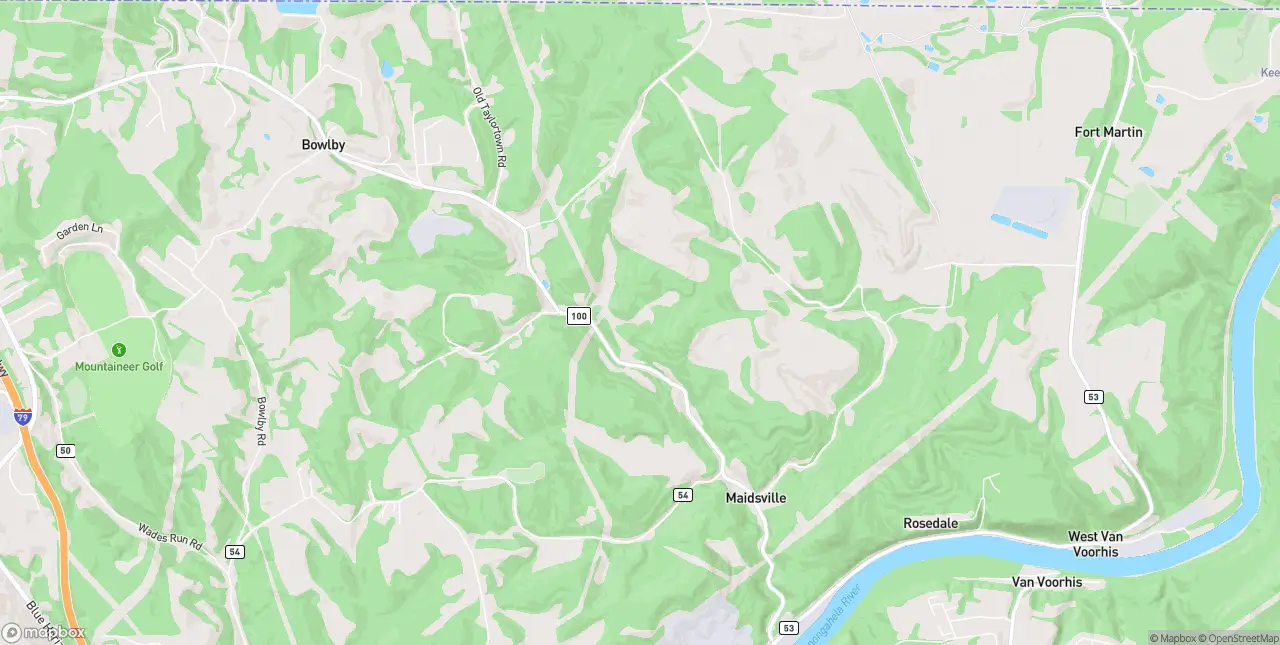 Internet in Maidsville