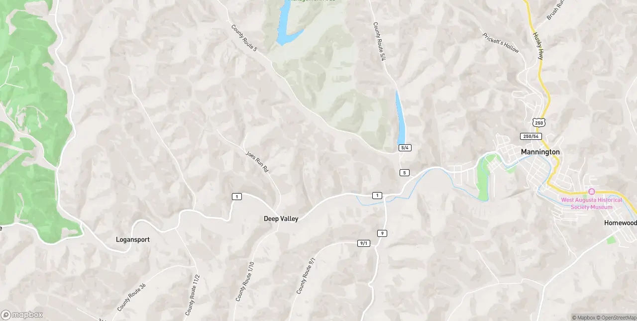 Internet in Mannington
