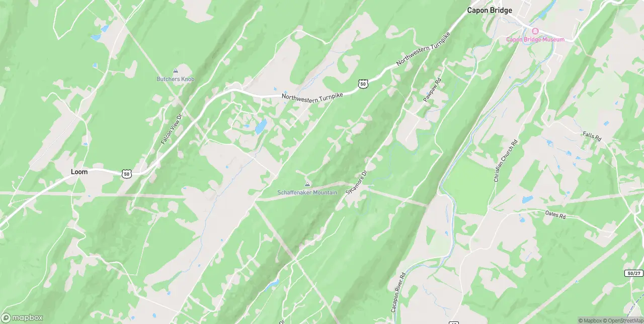 Internet in Capon Bridge