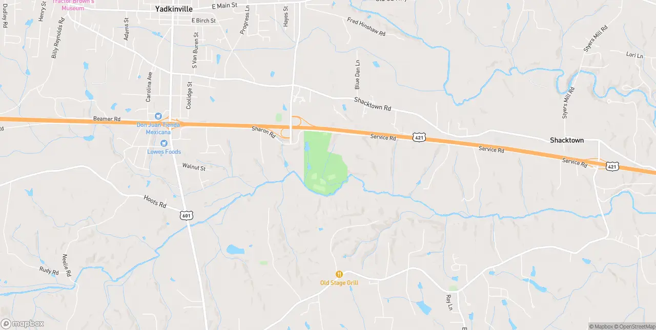Internet in Yadkinville