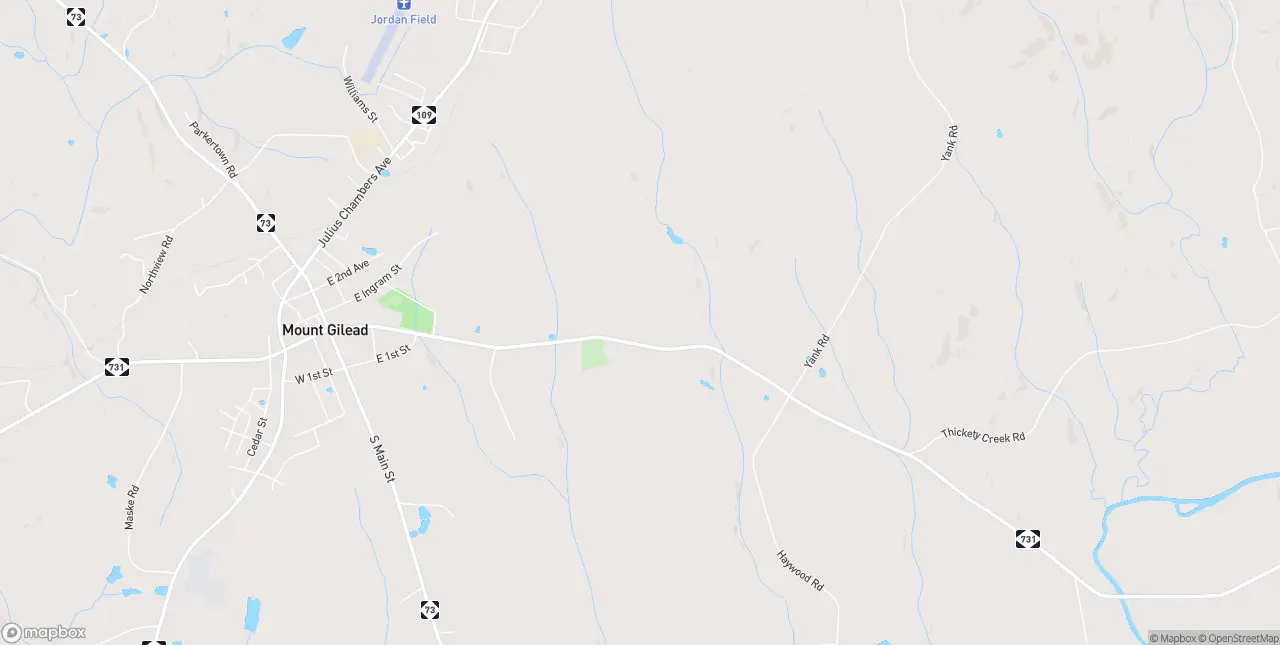 Internet in Mount Gilead