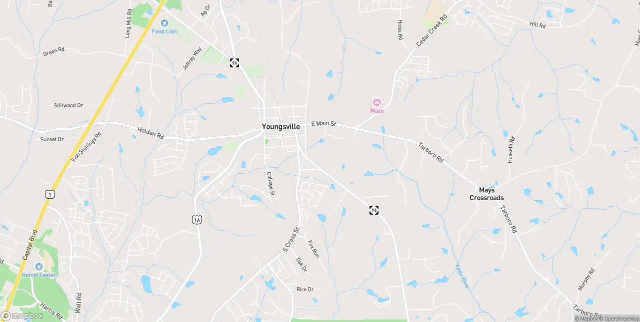Internet in Youngsville