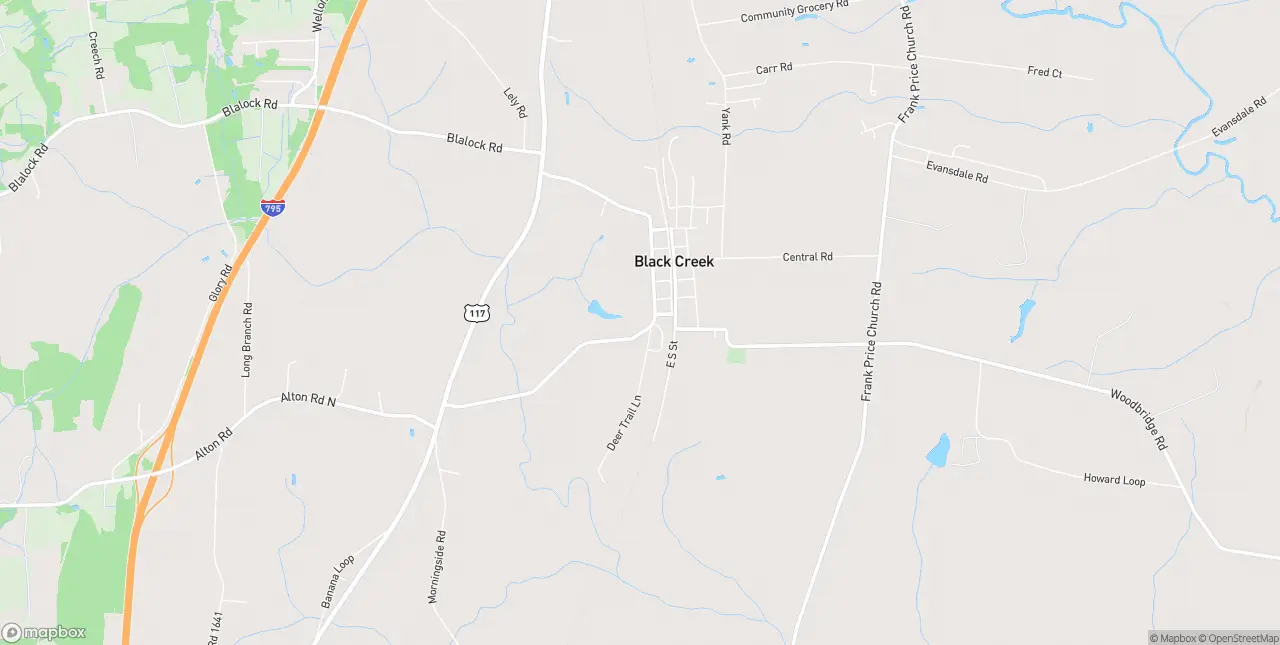 Internet in Black Creek