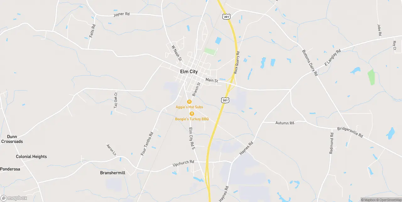 Internet in Elm City
