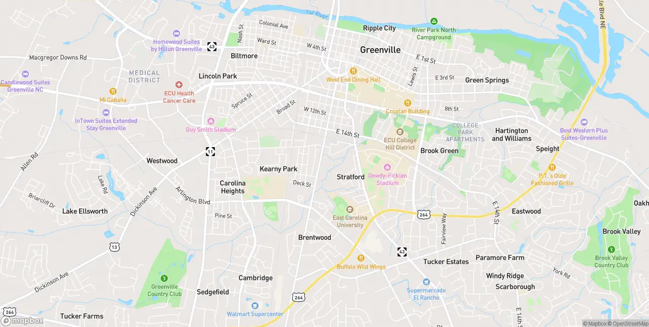 Internet in Greenville