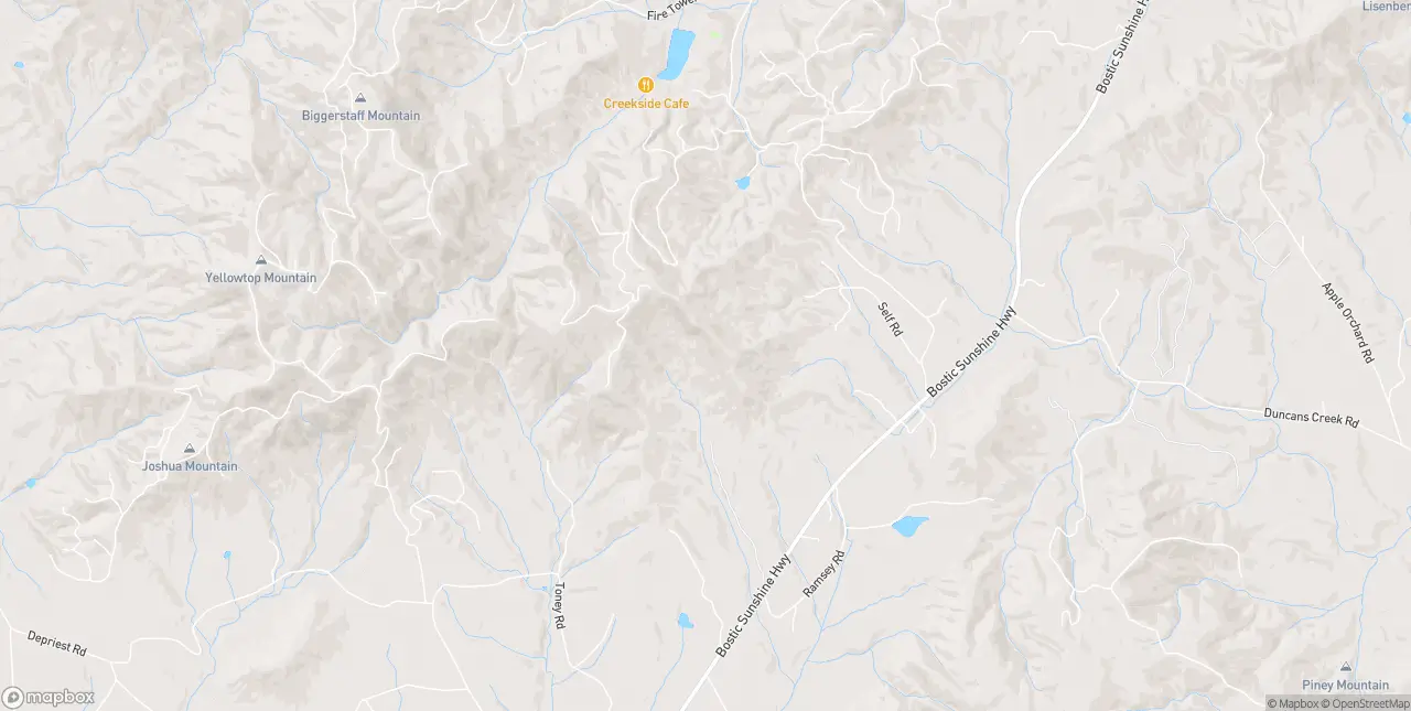 Internet in Bostic