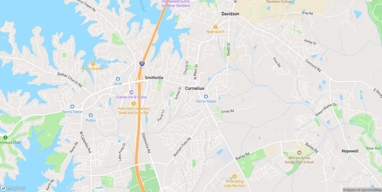 Internet in Cornelius