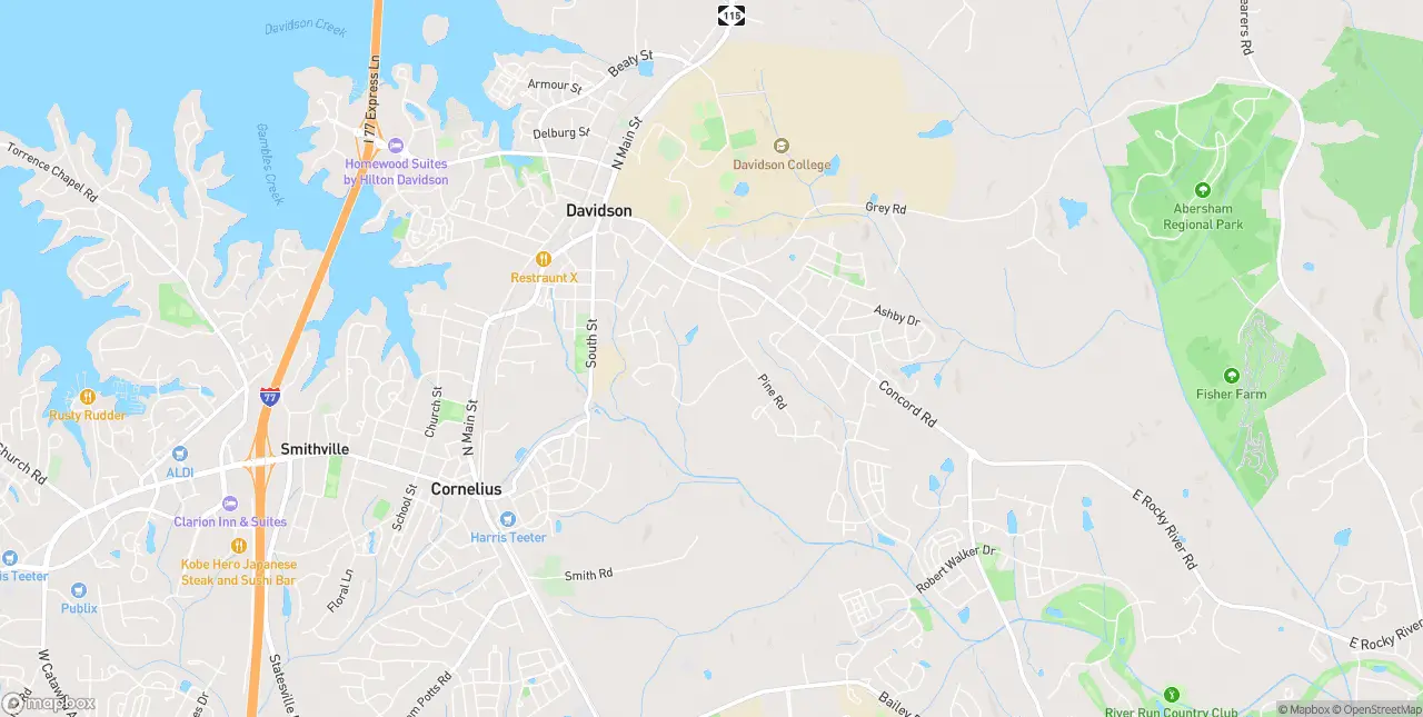 Internet in Davidson