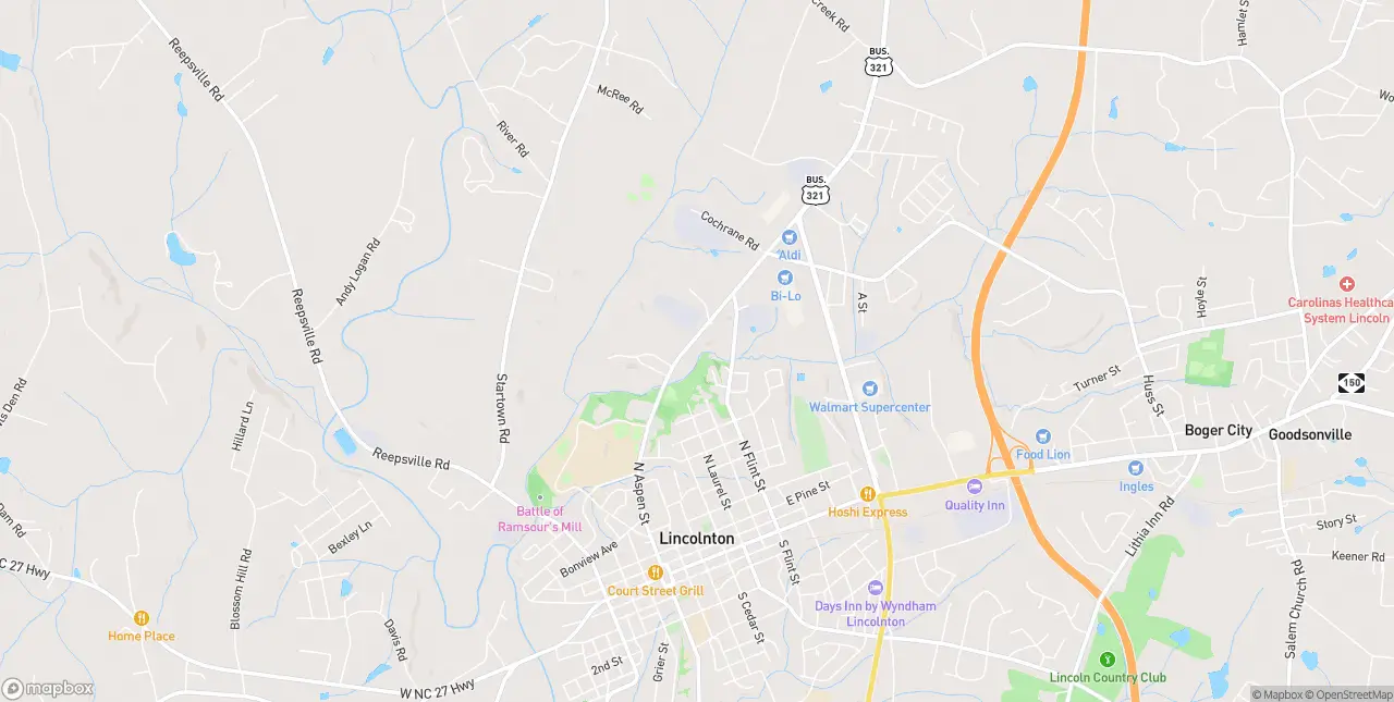Internet in Lincolnton