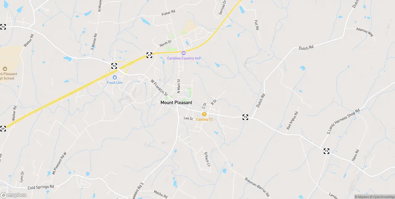 Internet in Mount Pleasant
