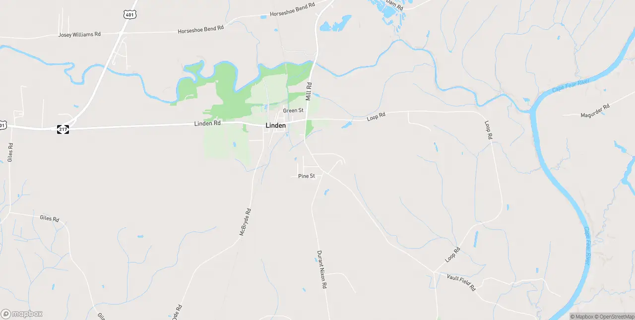 Internet in Linden