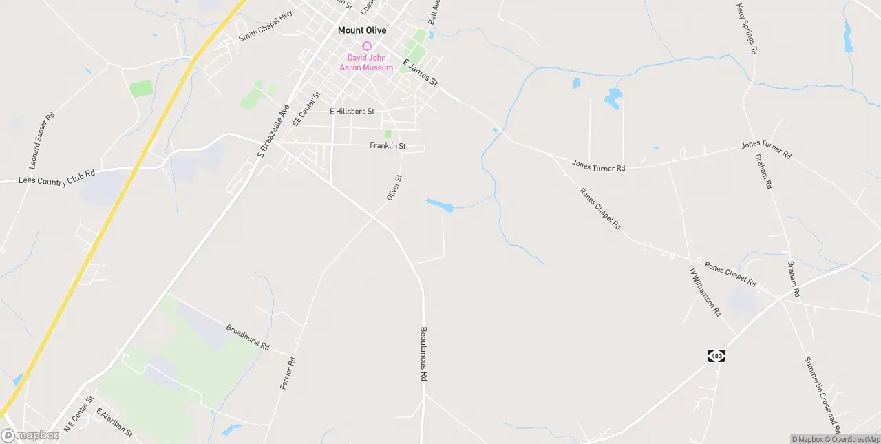 Internet in Mount Olive