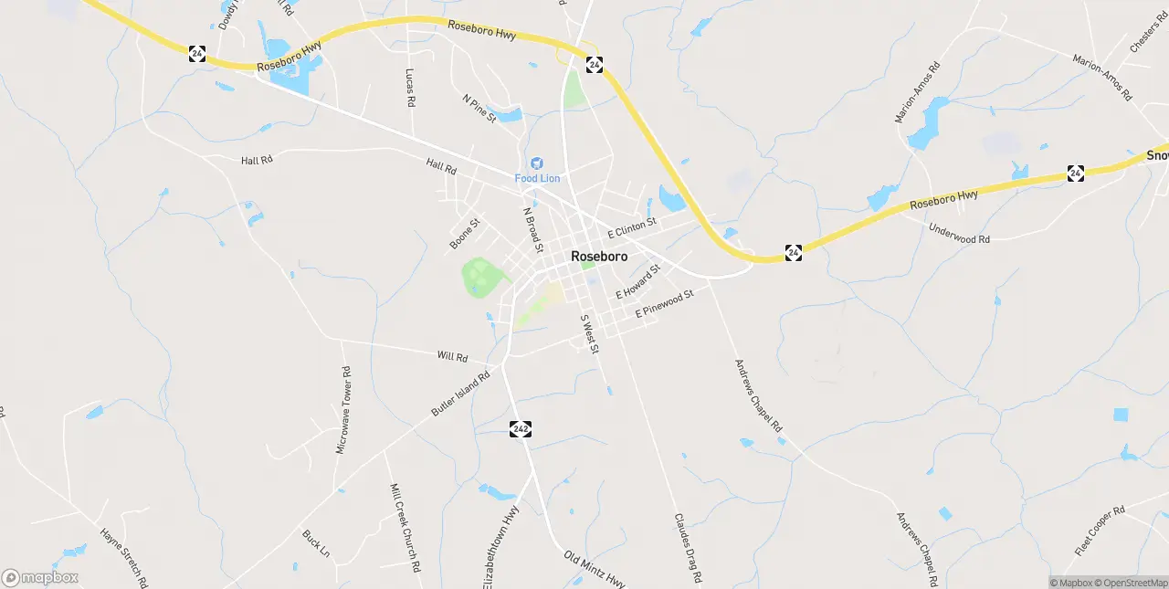 Internet in Roseboro
