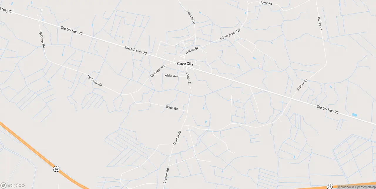 Internet in Cove City