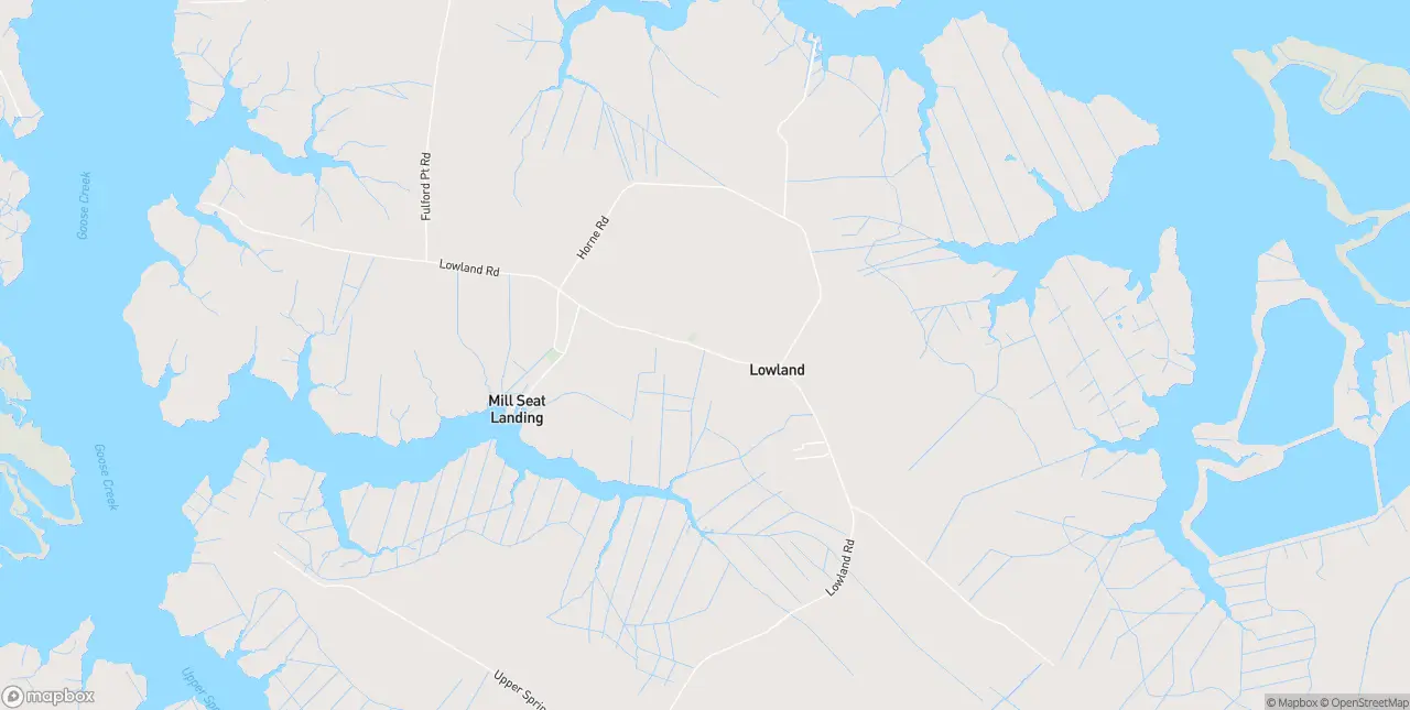 Internet in Lowland