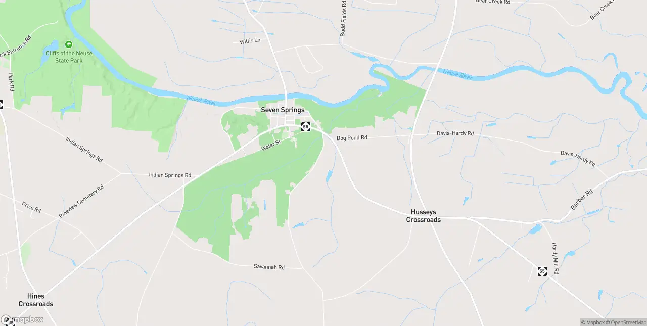 Internet in Seven Springs