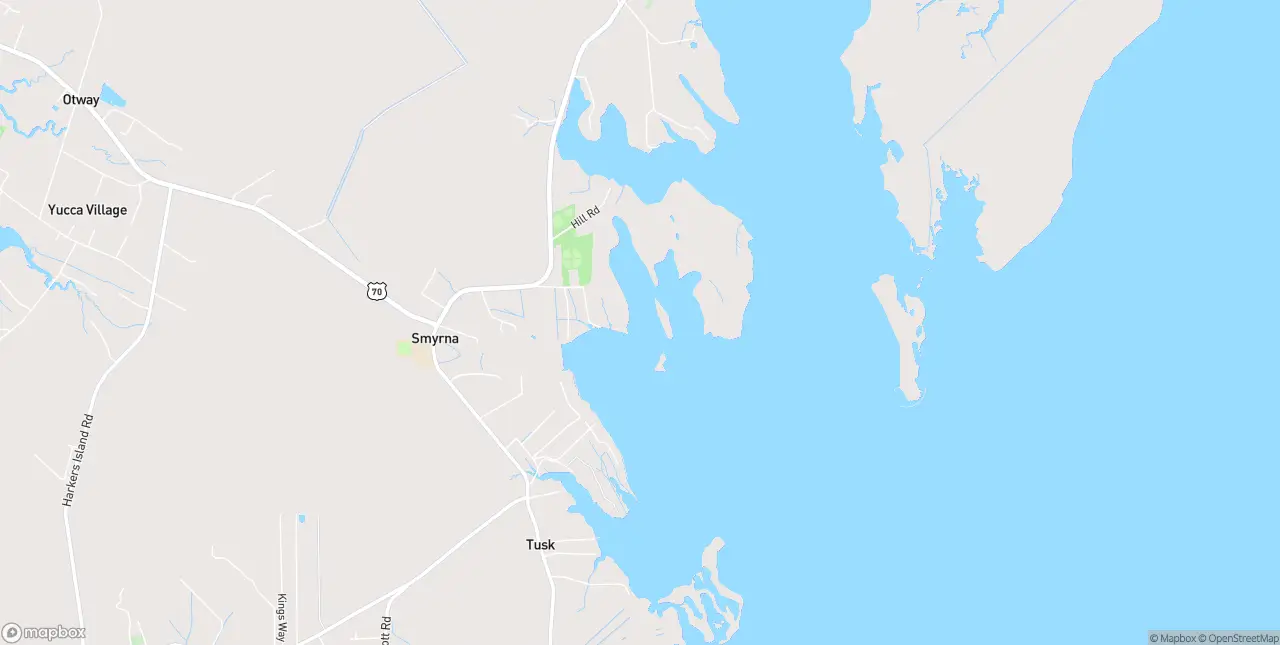 Internet in Smyrna