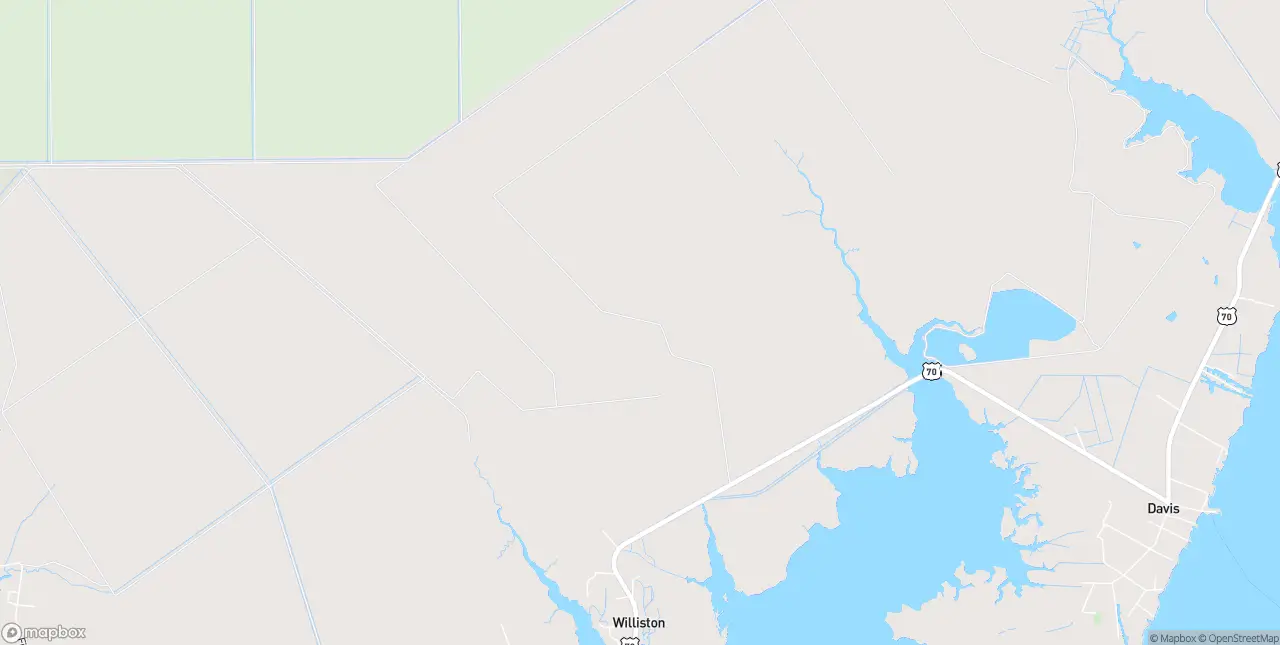 Internet in Williston