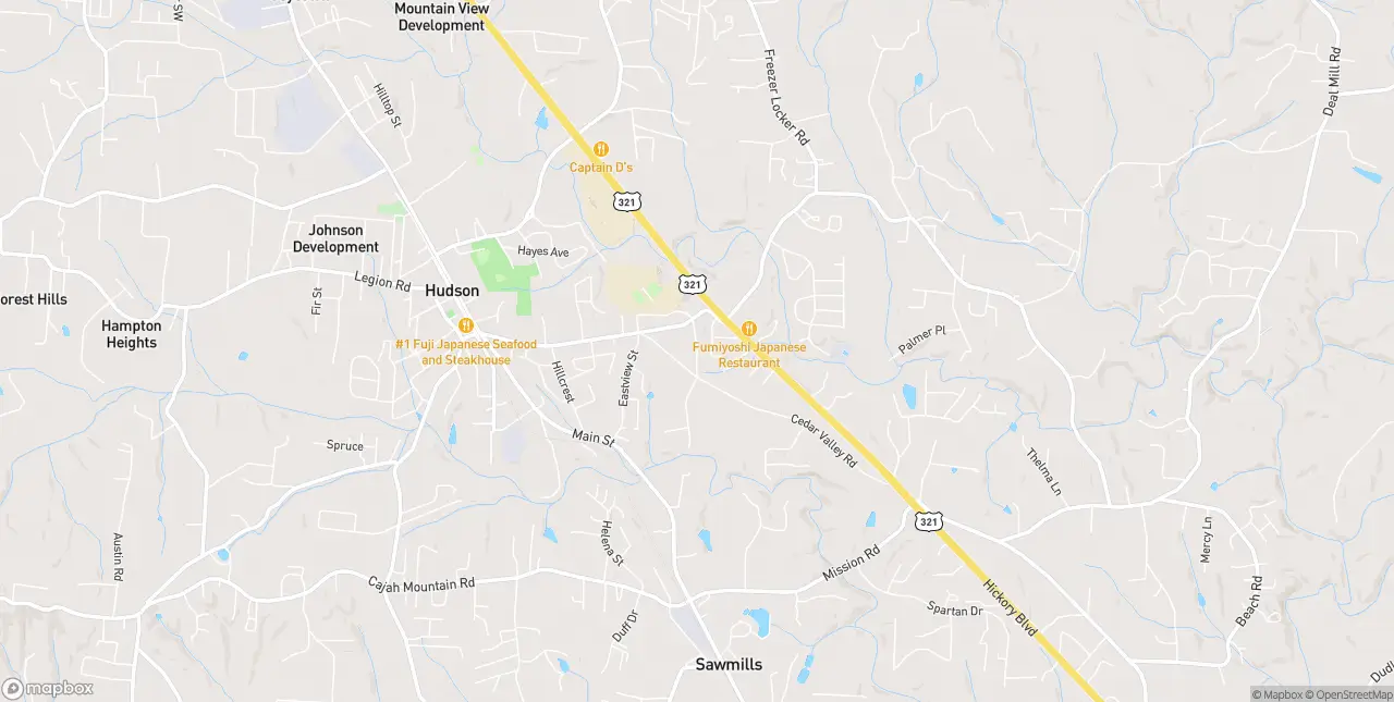 Internet in Hudson