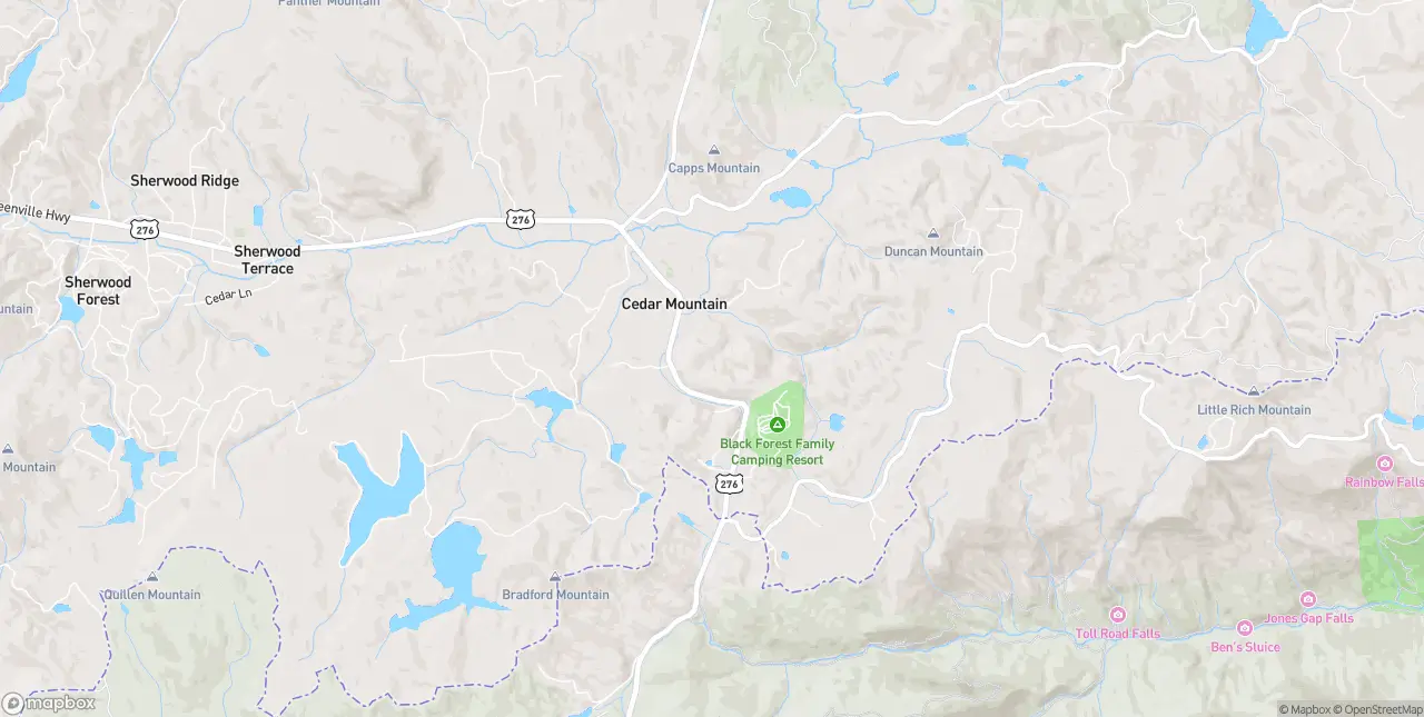 Internet in Cedar Mountain