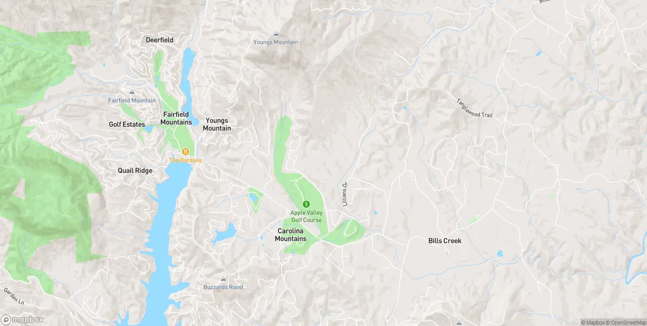 Internet in Lake Lure