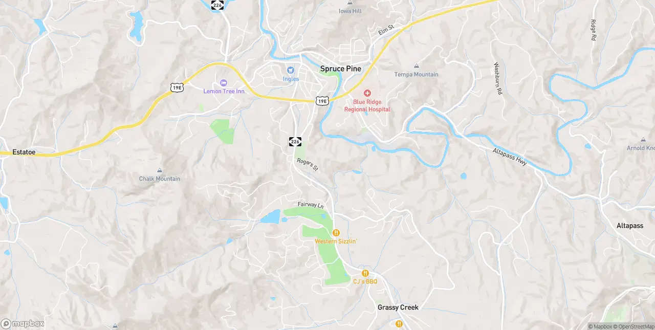 Internet in Spruce Pine