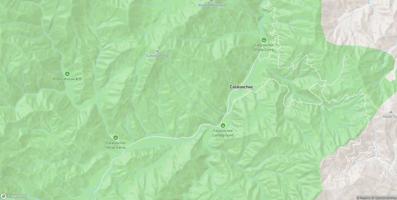 Internet in Waynesville