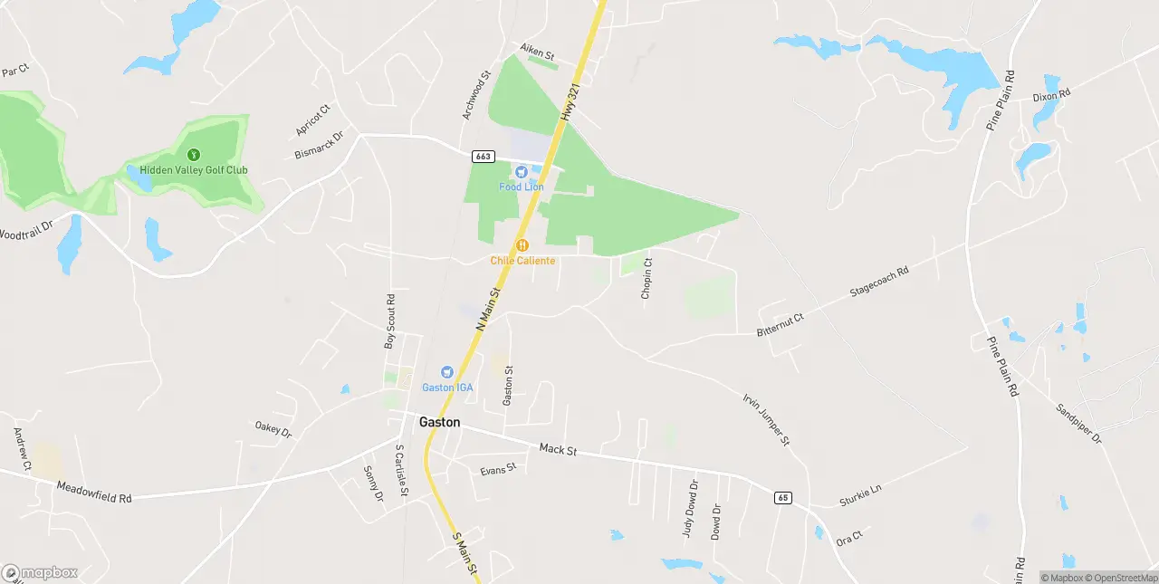 Internet in Gaston