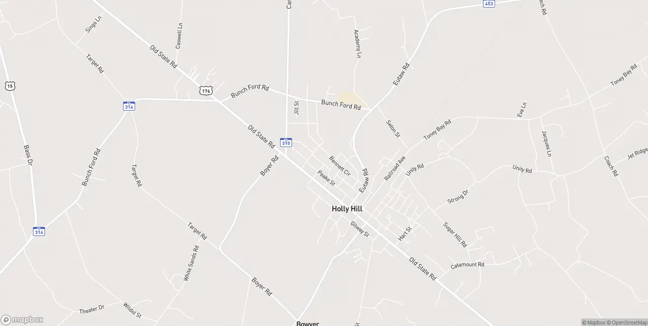 Internet in Holly Hill