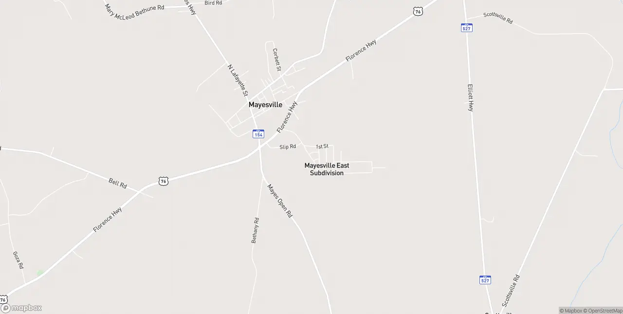 Internet in Mayesville