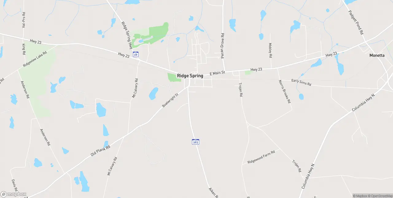 Internet in Ridge Spring