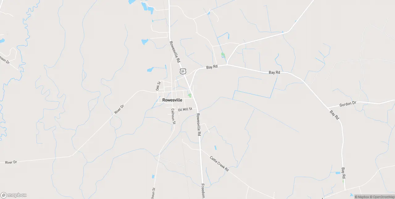 Internet in Rowesville