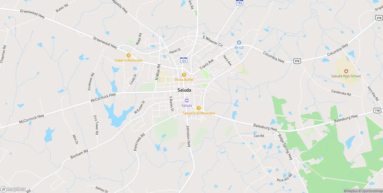 Internet in Saluda