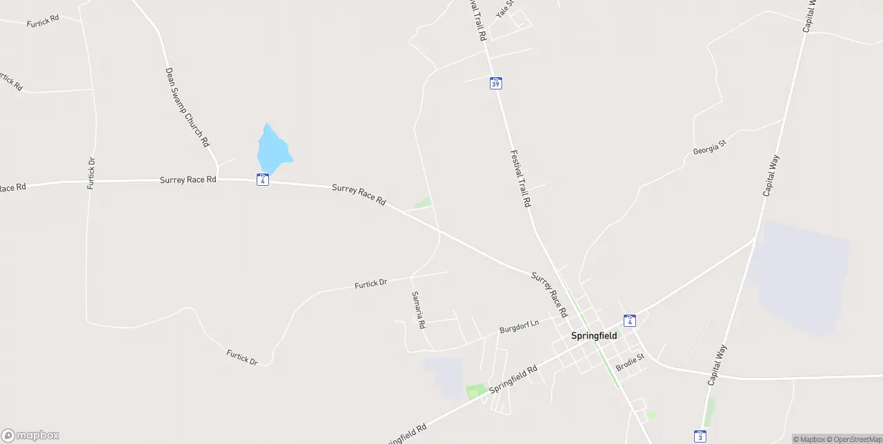 Internet in Springfield