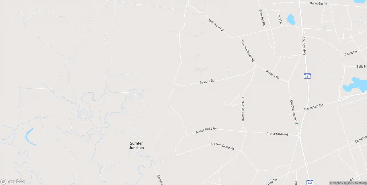 Internet in Wedgefield