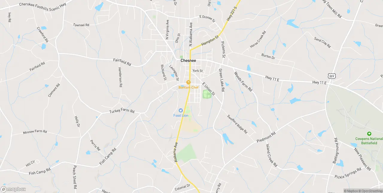 Internet in Chesnee
