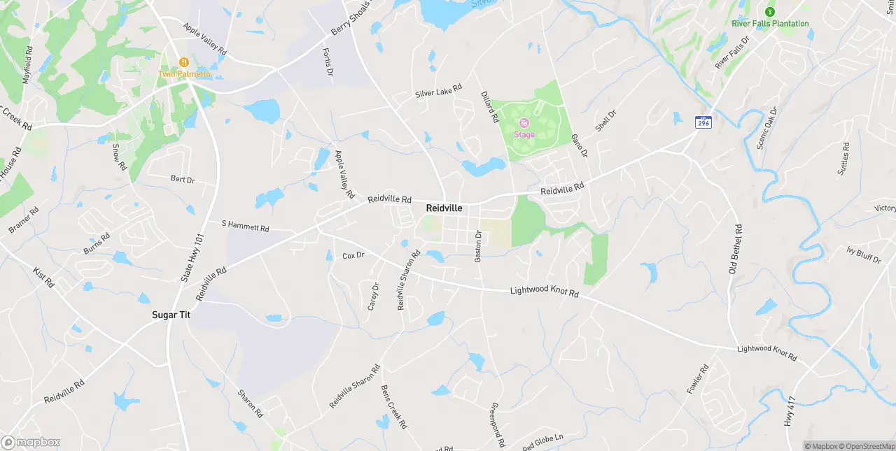 Internet in Reidville