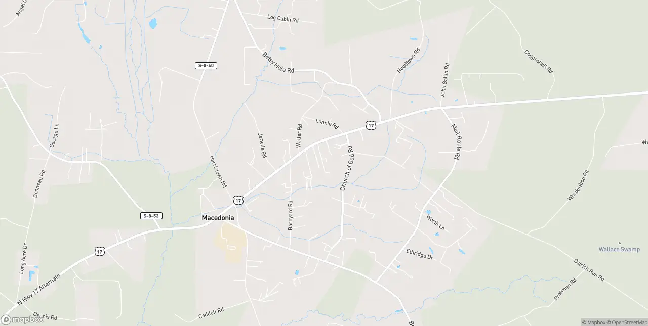 Internet in Bonneau