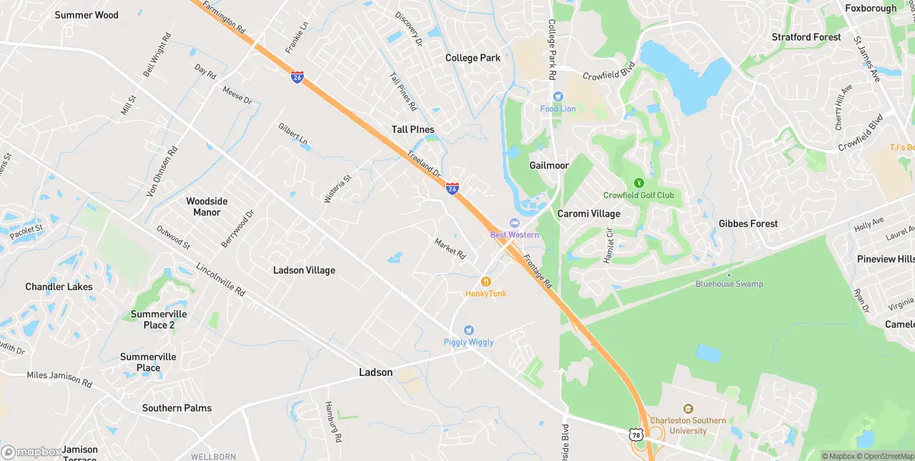 Internet in Ladson