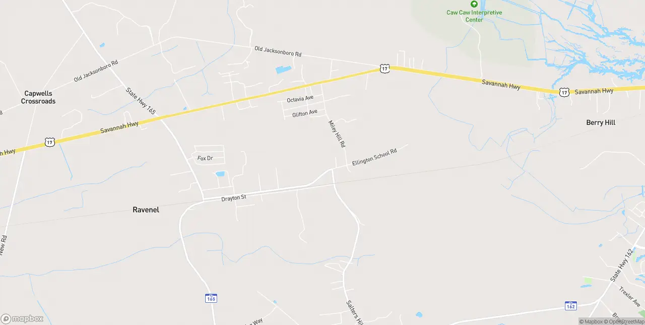 Internet in Ravenel