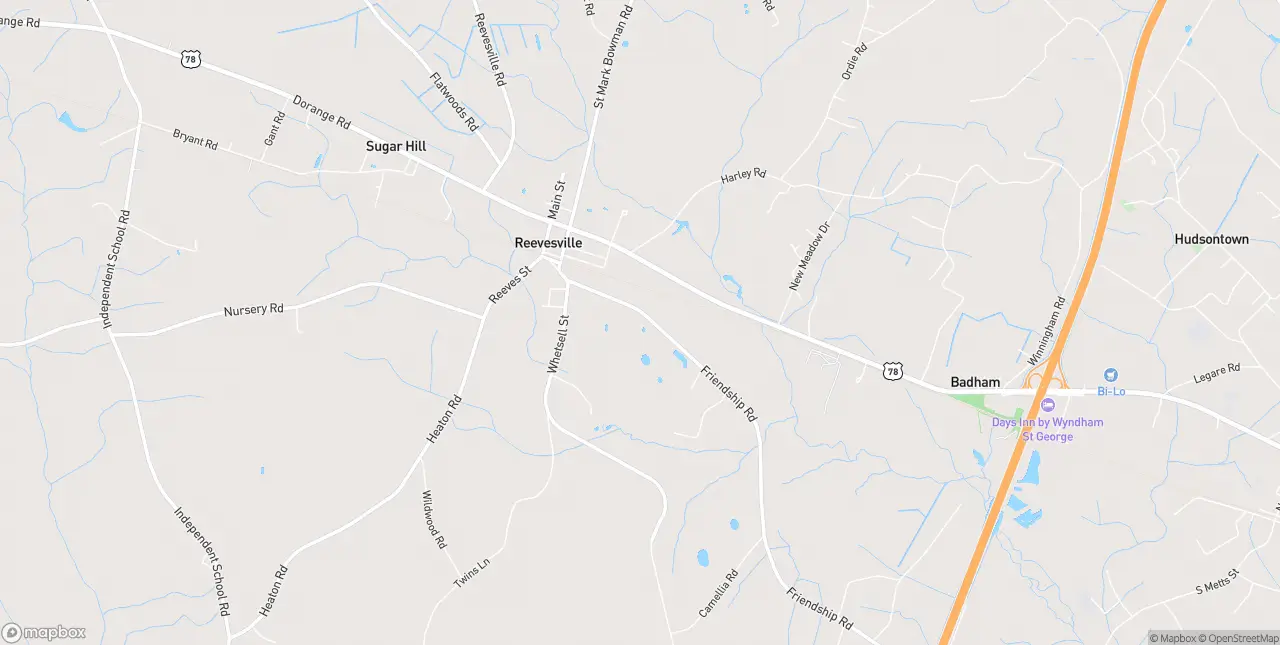 Internet in Reevesville