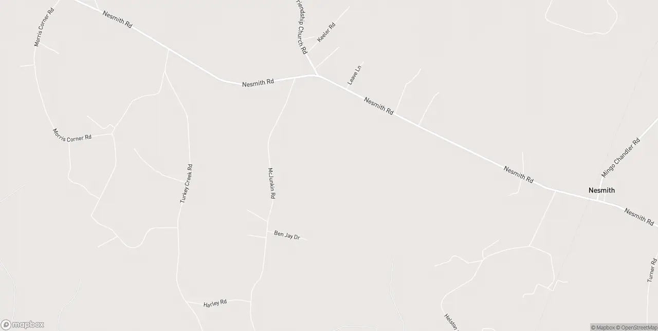 Internet in Nesmith