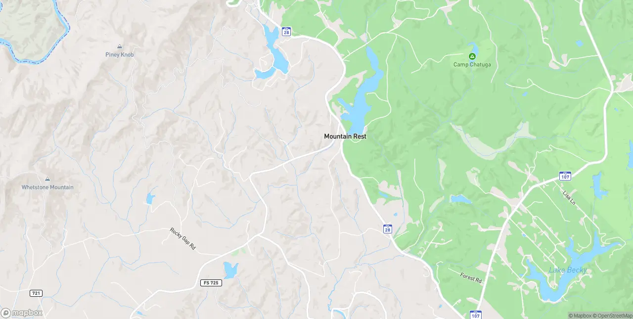 Internet in Mountain Rest