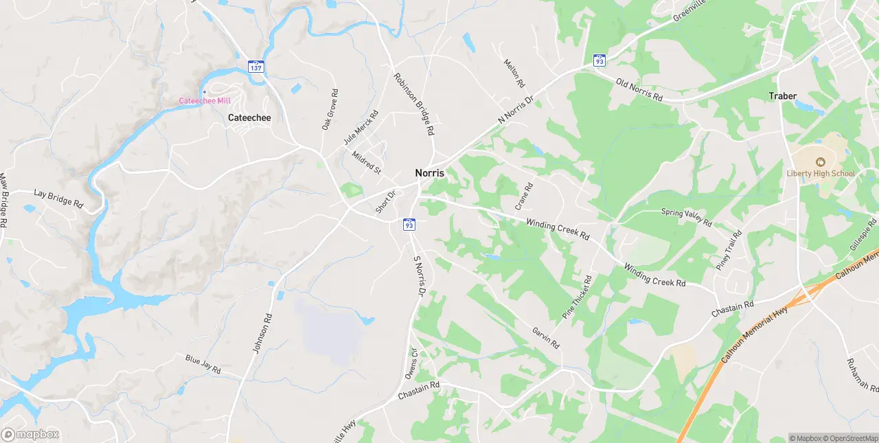Internet in Norris