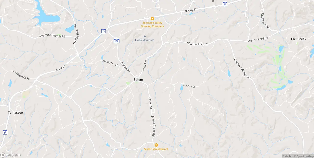 Internet in Salem