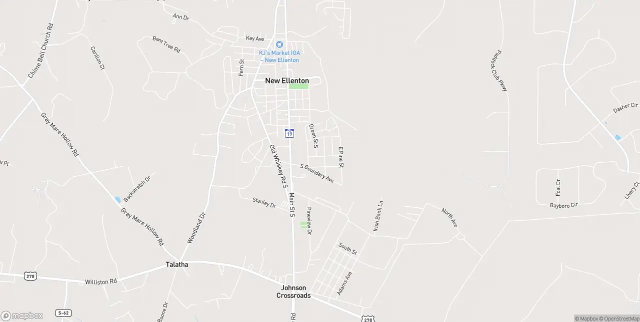 Internet in New Ellenton
