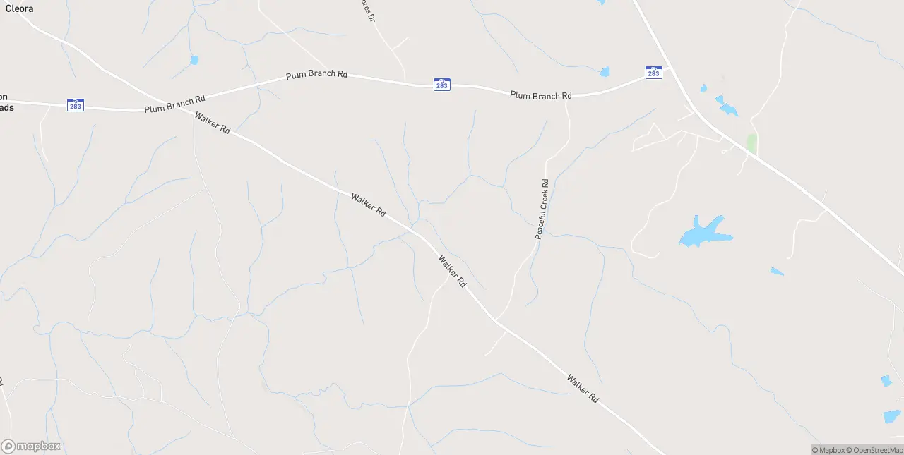 Internet in Edgefield